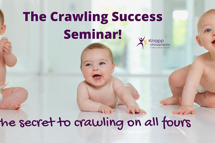 The Crawling Success Seminar The Secret To Crawling On All Fours