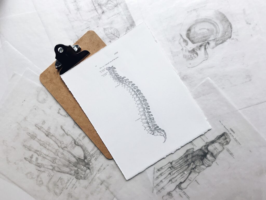 A black and white sketch of a spine on white paper with a clipboard. Brookfield prenatal chiropractor Prenatal chiropractor Brookfield pediatric chiropractor Chiropractic Care