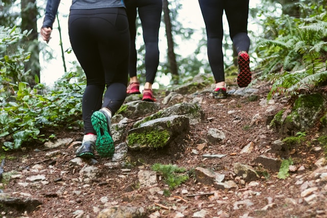 A photo of women hiking in the woods. Brookfield prenatal chiropractor Prenatal chiropractor Brookfield pediatric chiropractor