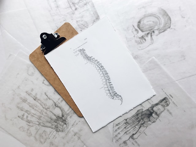 Black line drawing of the human spine