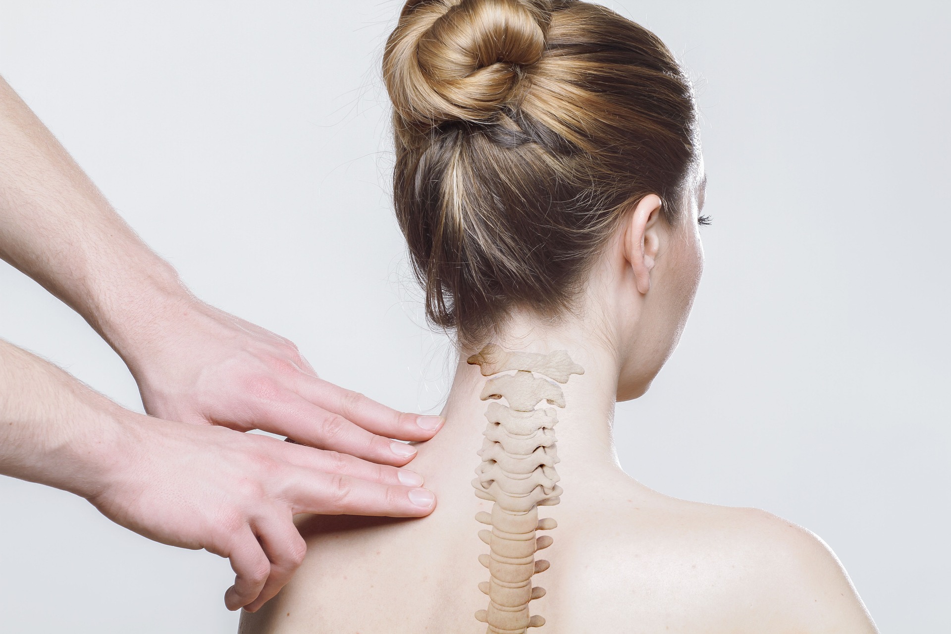 Chiropractor showing spinal alignment