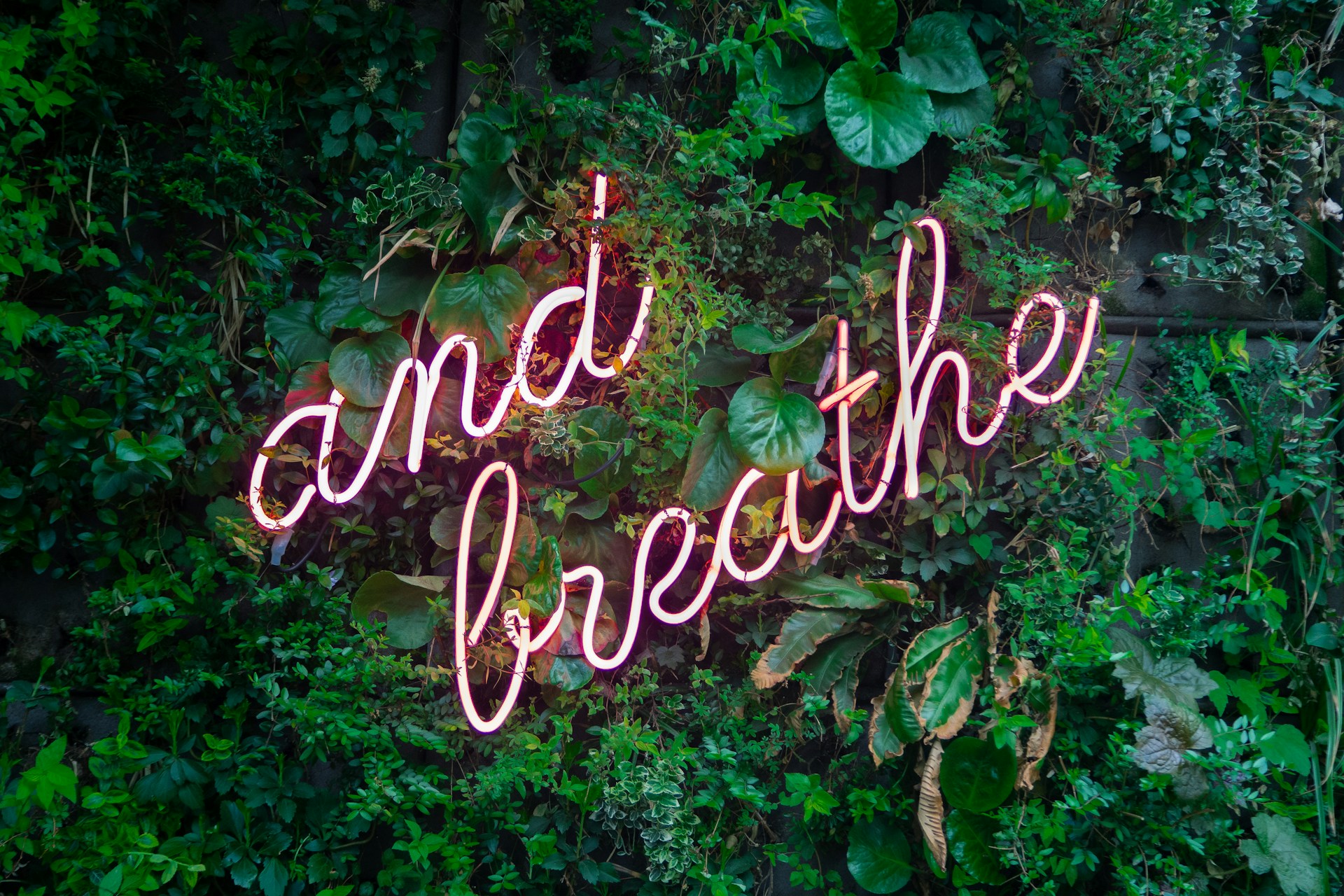 Green leaves with the phrase and breathe in neon letters