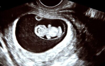 Stress, Fertility, and the Nervous System: How Chiropractic Care Can Help