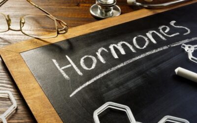 The Link Between Hormonal Balance and Chiropractic Practices