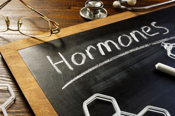 The Link Between Hormonal Balance and Chiropractic Practices